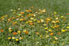80.JPG (810674 Byte)
