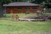 IMGP4454.JPG (165847 Byte)